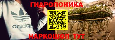 ешки Будённовск