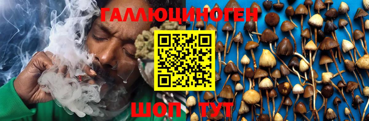 Галлюциногенные грибы прущие грибы  Псилоцибиновые грибы Psilocybe  Чебаркуль  Вход с VPN 